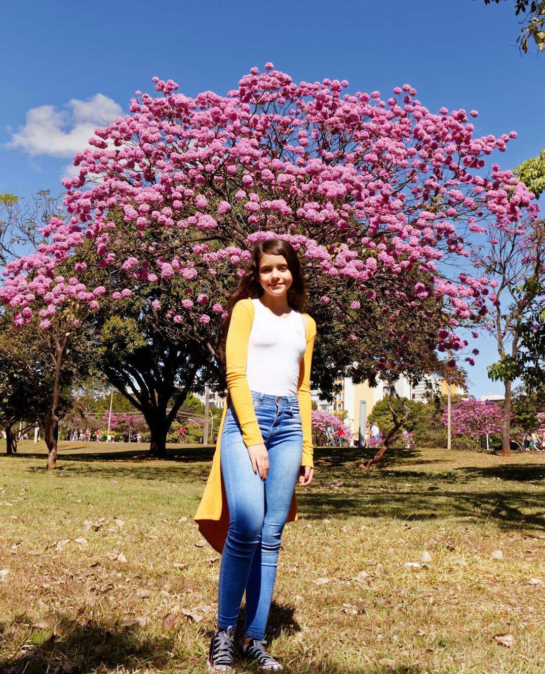 Portrait of a young Brazilian woman personal development mentor